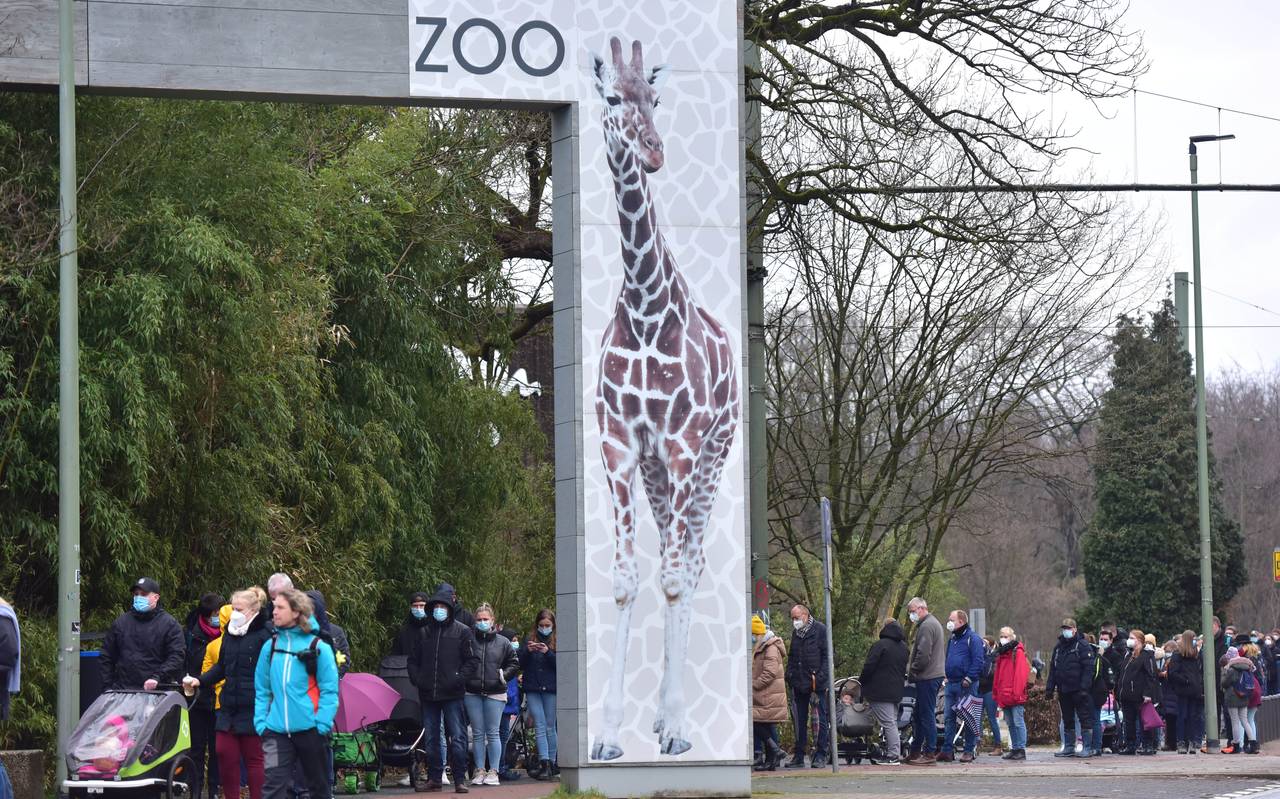 Zoo-Besucher warten in Duisburg sehnsüchtig darauf, reingelassen zu werden
