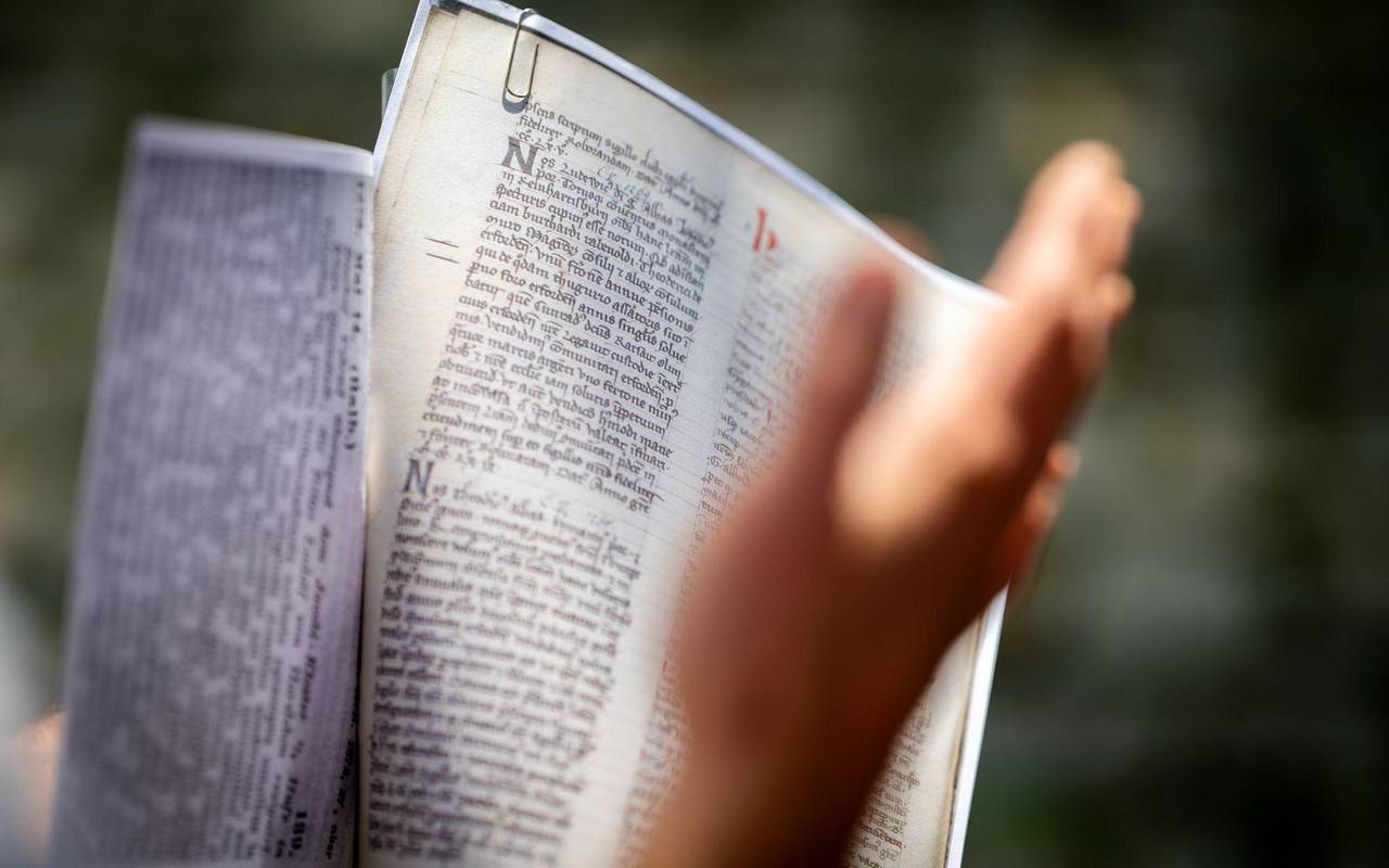 Historiker entdecken Hinweise auf ältesten Bratwursstand