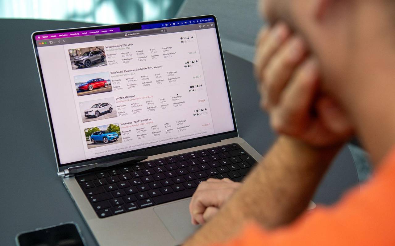 Ein Mann blickt auf die Webseite ev-database.org