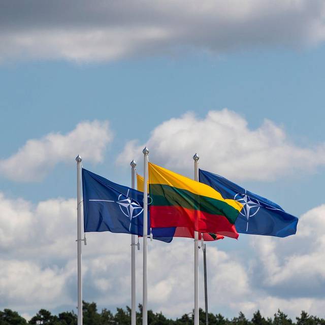 Litauische Flagge