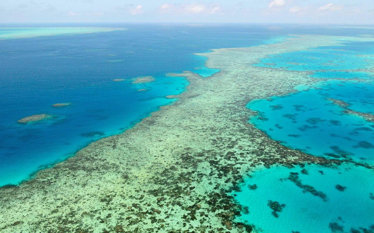 Great Barrier Reef in Australien