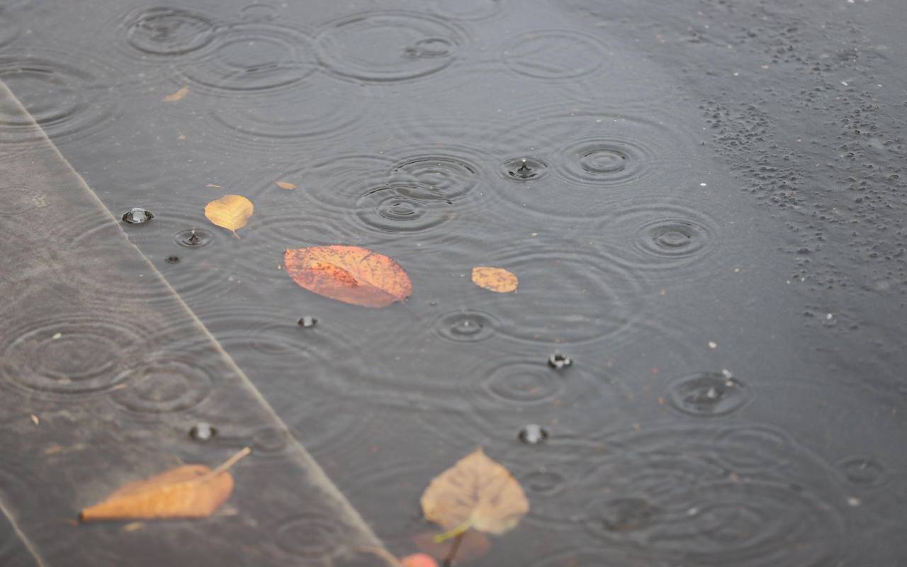 Wetter in Bergisch Gladbach