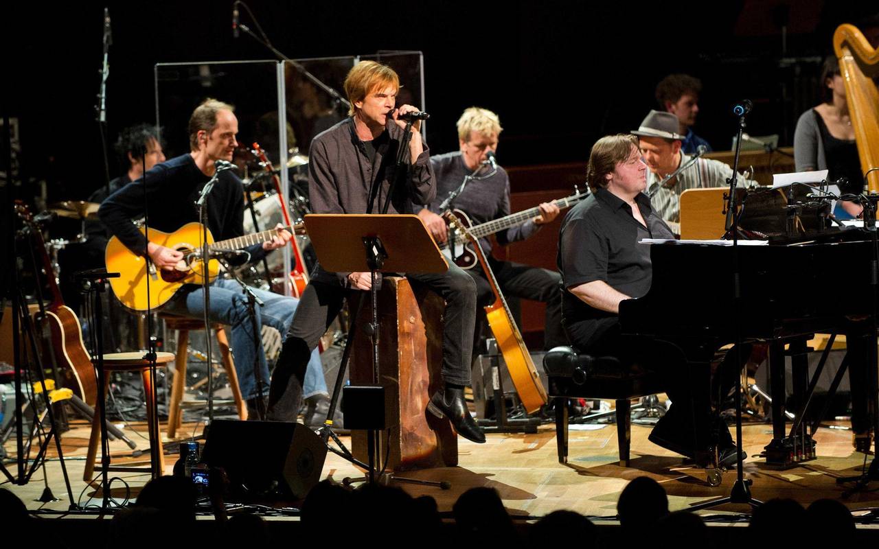 Konzert der Toten Hosen