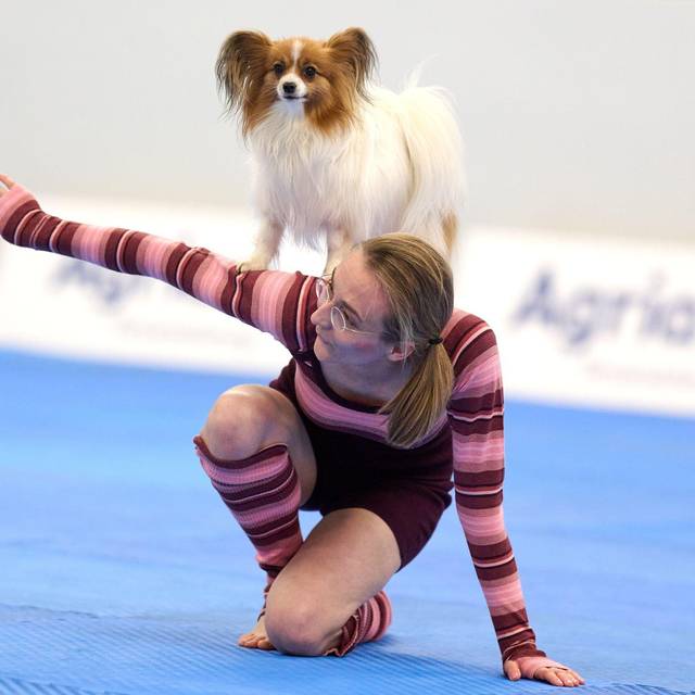Meisterschaft im Dog Dancing auf Messe «Hund & Pferd»