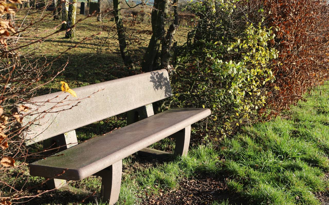Parkbank im Herbst