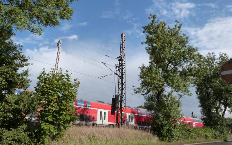Vorbeifahrender Regionalexpress zwischen Natur