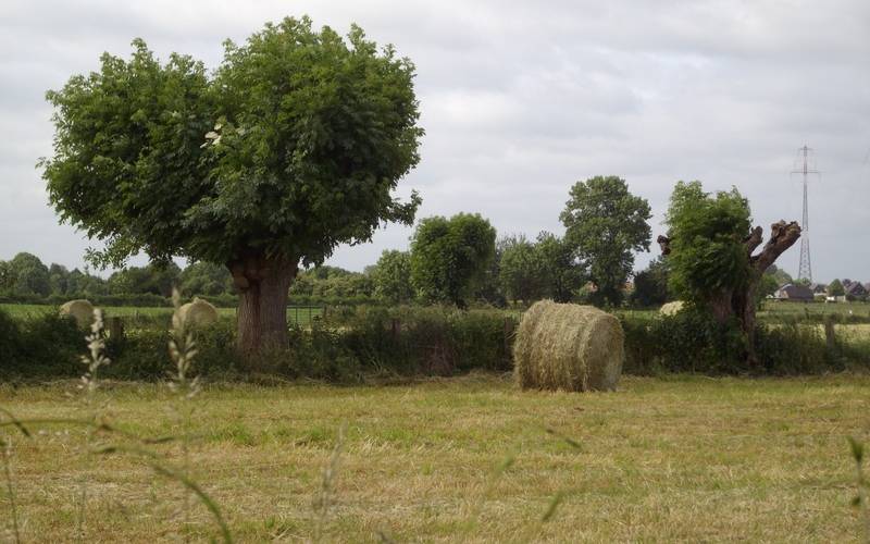 Mommbachwiesen in Voerde