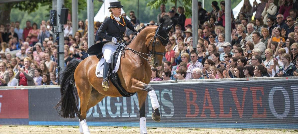 Rheinberger Dressurreiterin beim CHIO in Aachen mit Quantaz