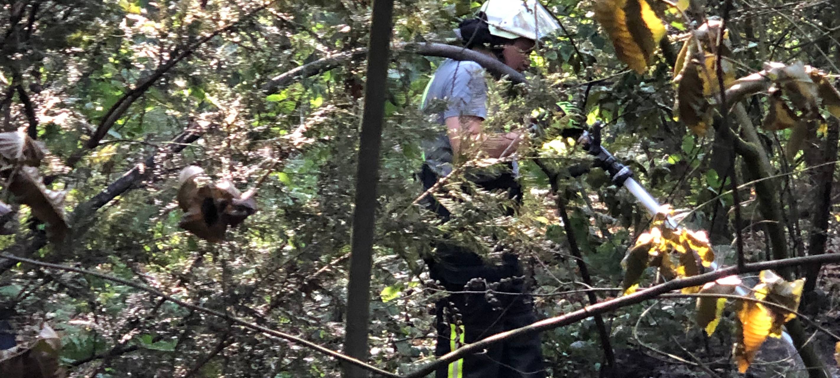 Feuer im Wald bei Mehrhoog gelöscht