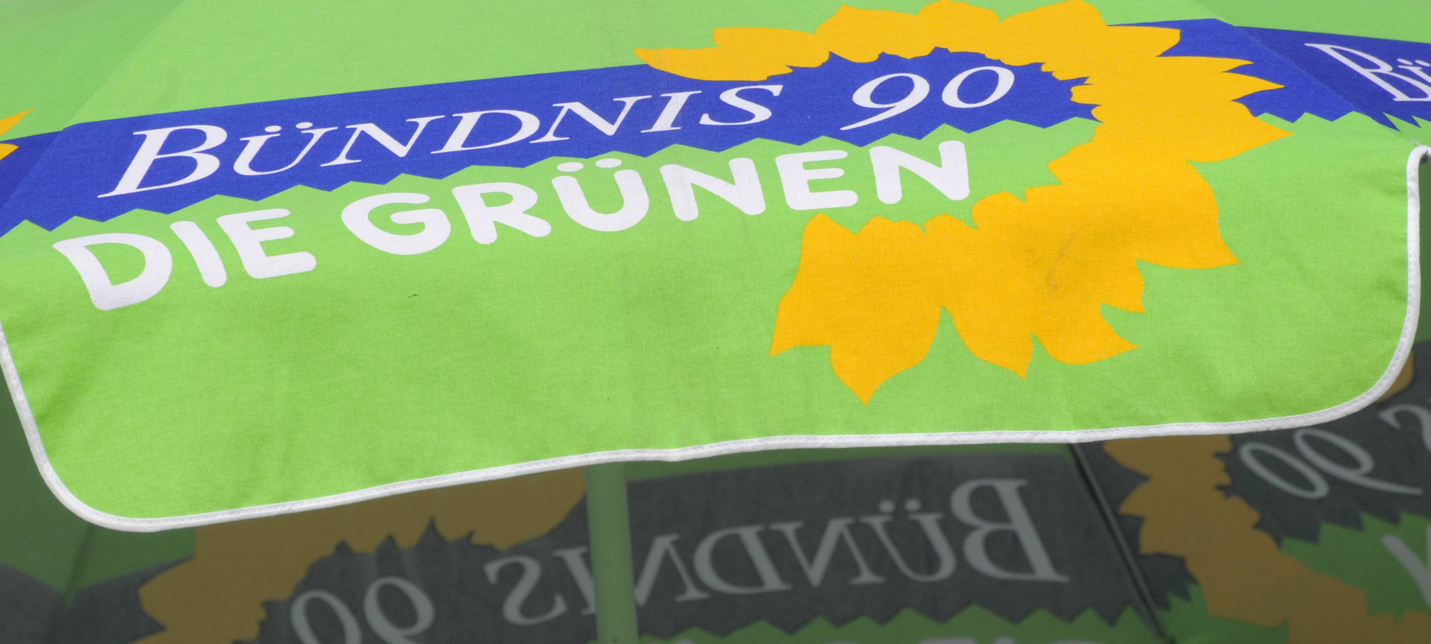 Weseler Grünen begrüßen Urteil zum Klimaschutzgesetz