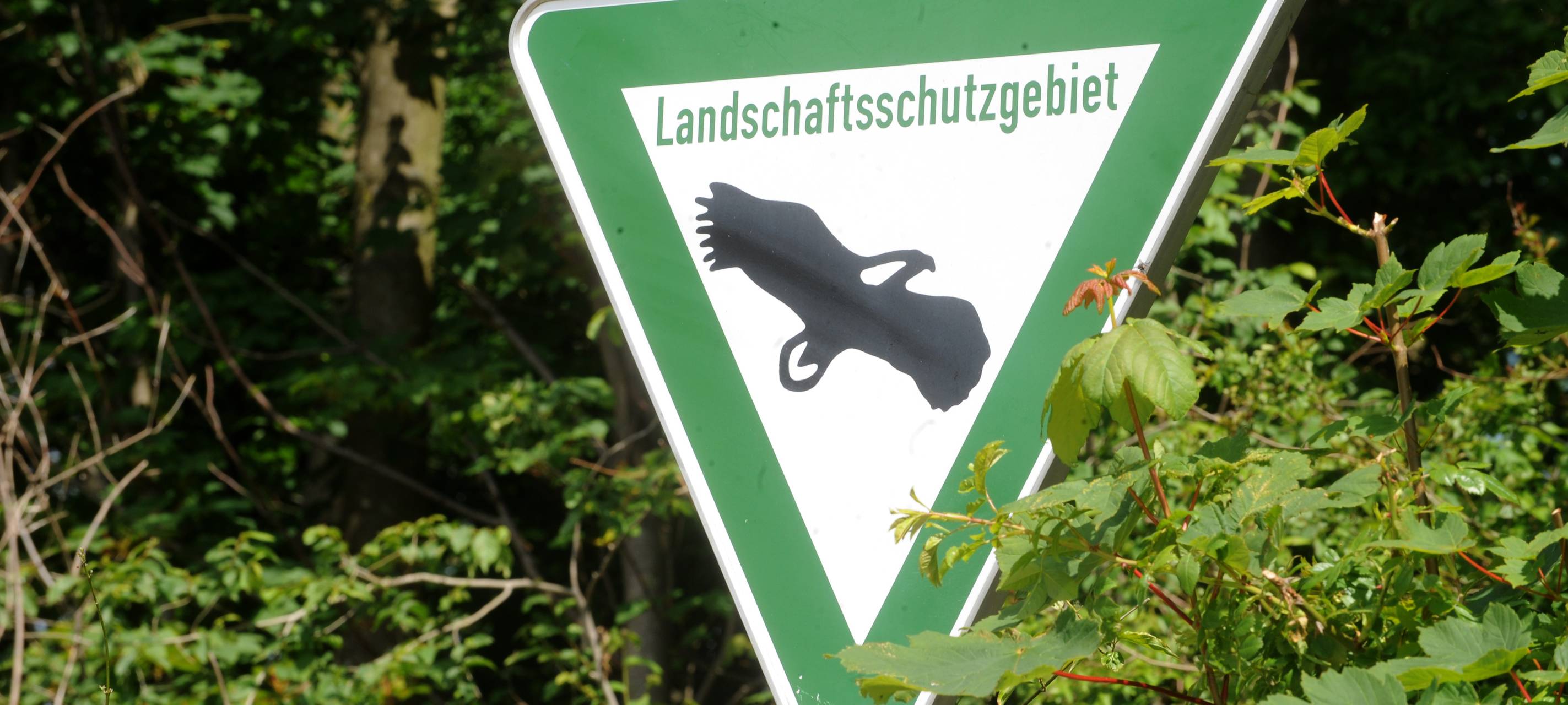 Hegering Wesel freut sich über Ranger