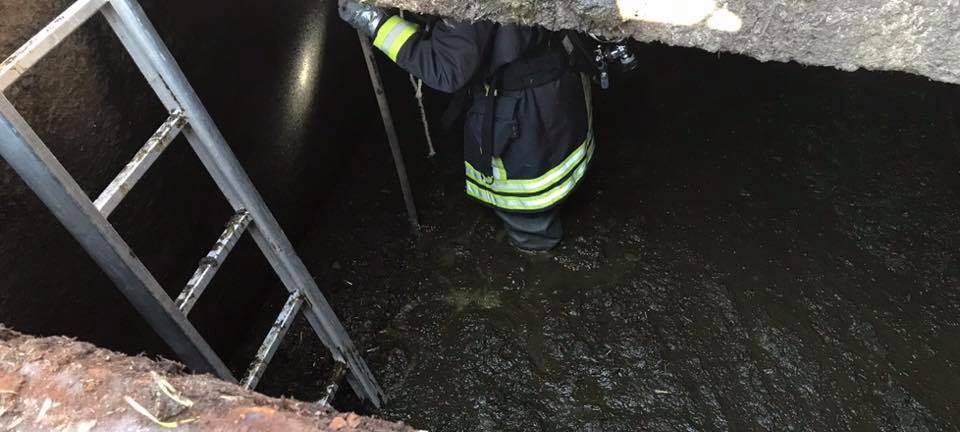 In Dingden steckte Kuh im Güllekeller fest