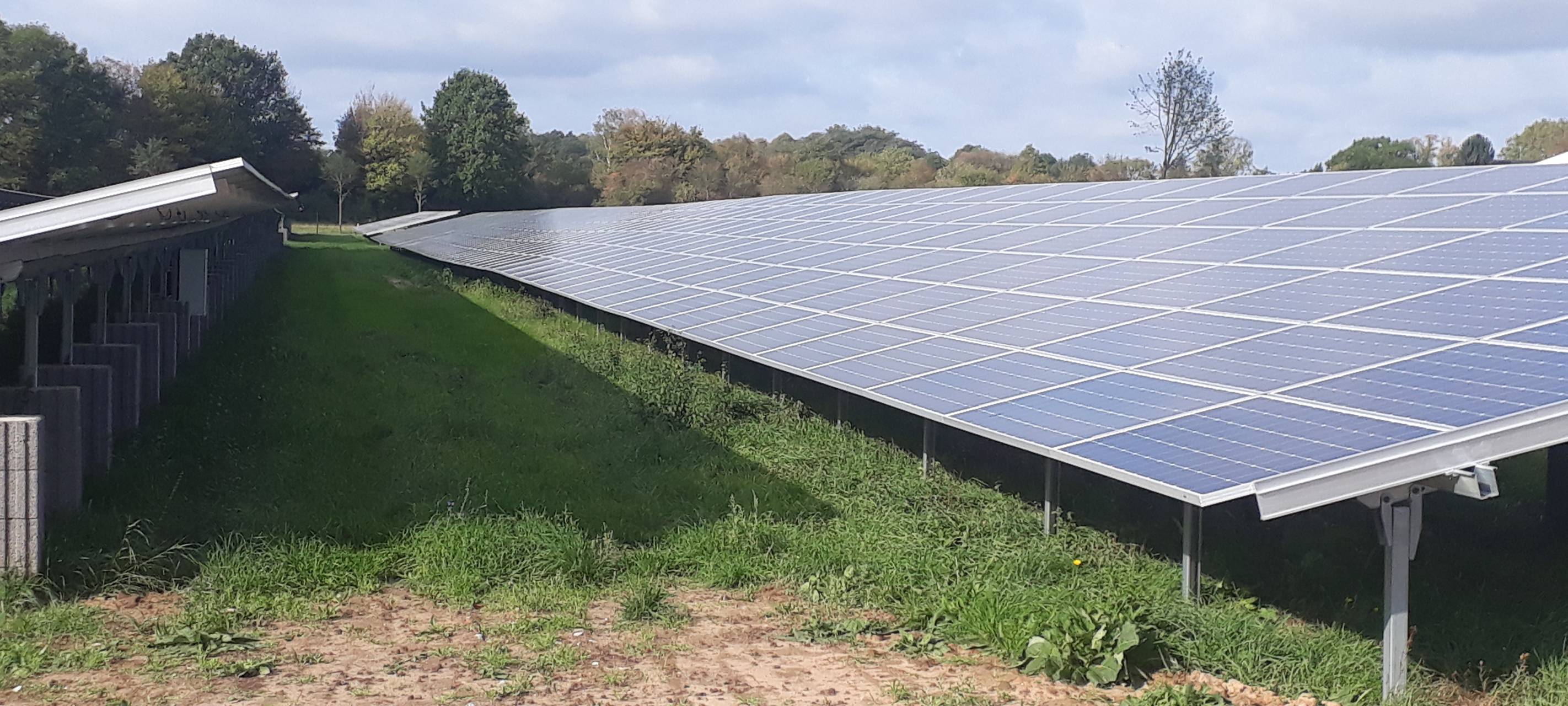 Firmen am Niederrhein sind Klimaschutz-Vorreiter