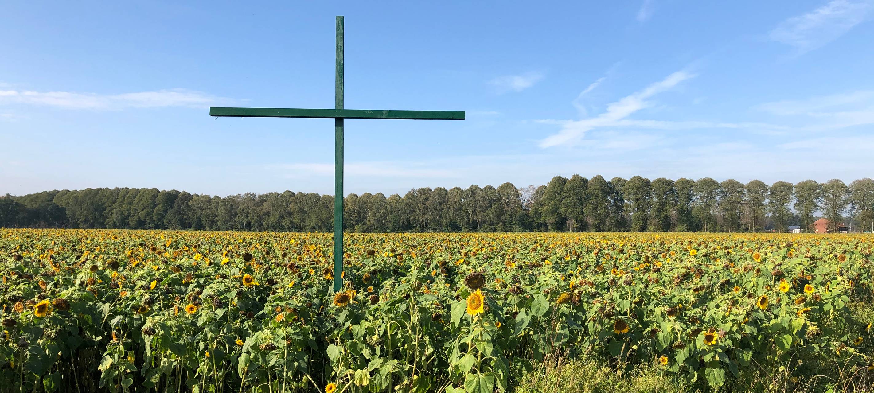 Immer mehr Bauern im Kreis Wesel stellen grüne Kreuze auf