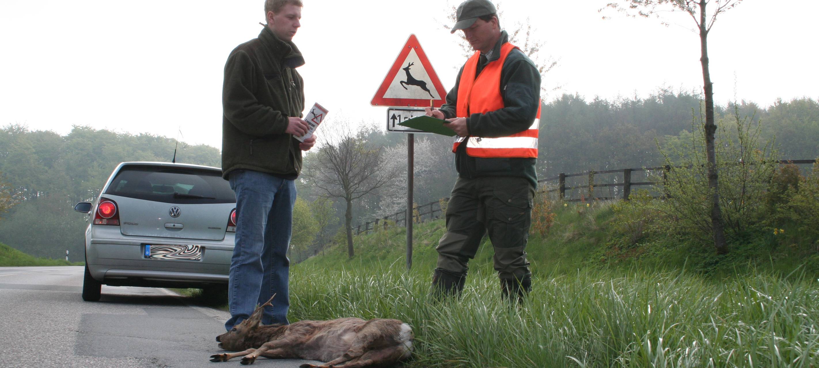 Achtung Wildwechsel!