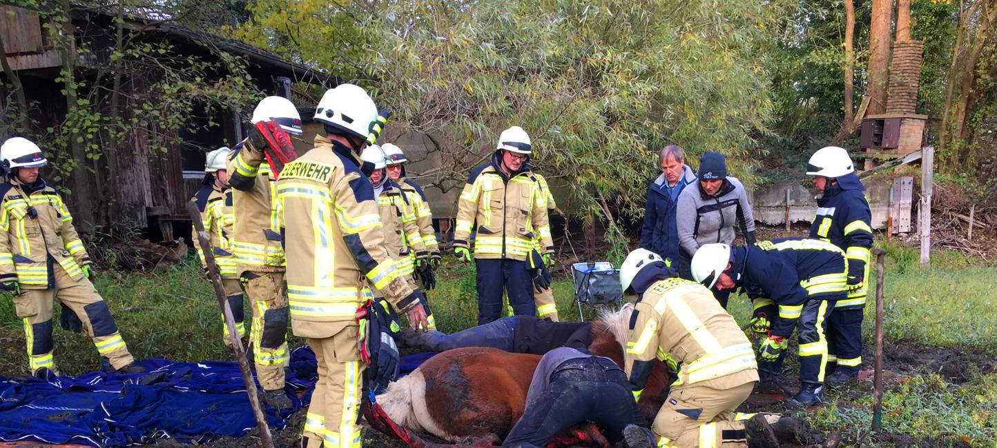 Vluyner Feuerwehr rettete Ponys aus Schlammgrube