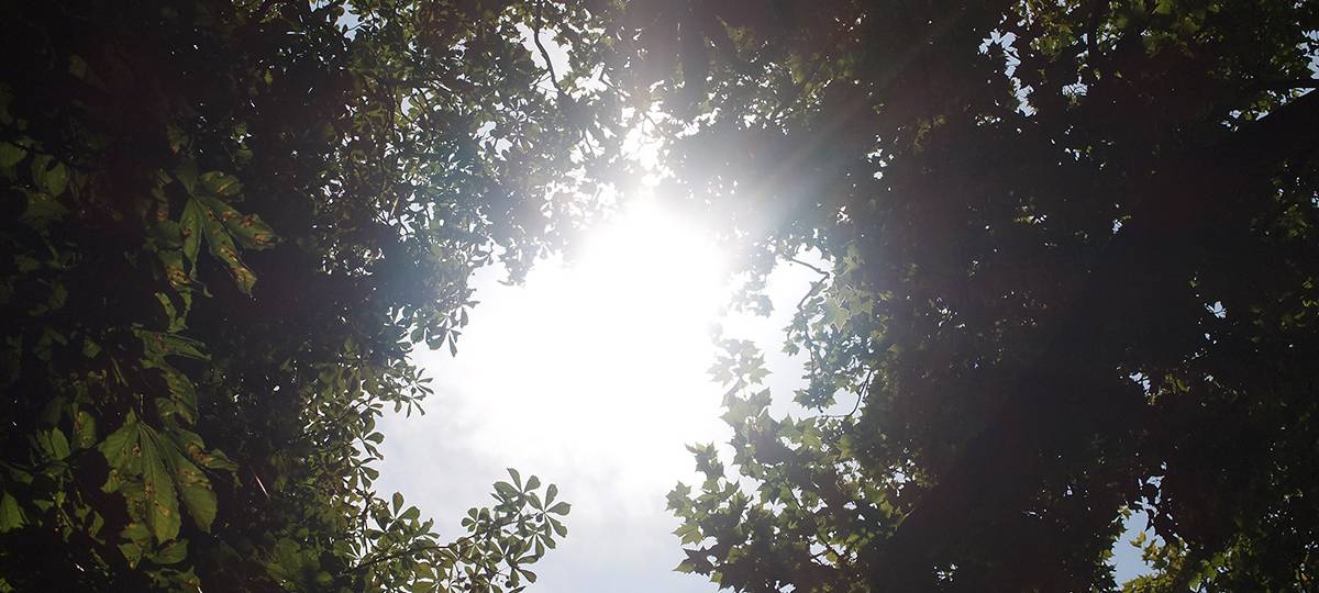 Was zum Vatertag erlaubt ist - und was nicht