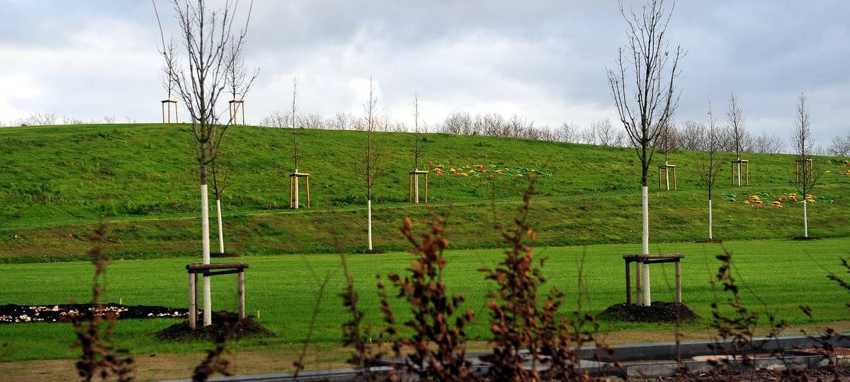 Über 9000 Dauerkarten für die Landesgartenschau verkauft