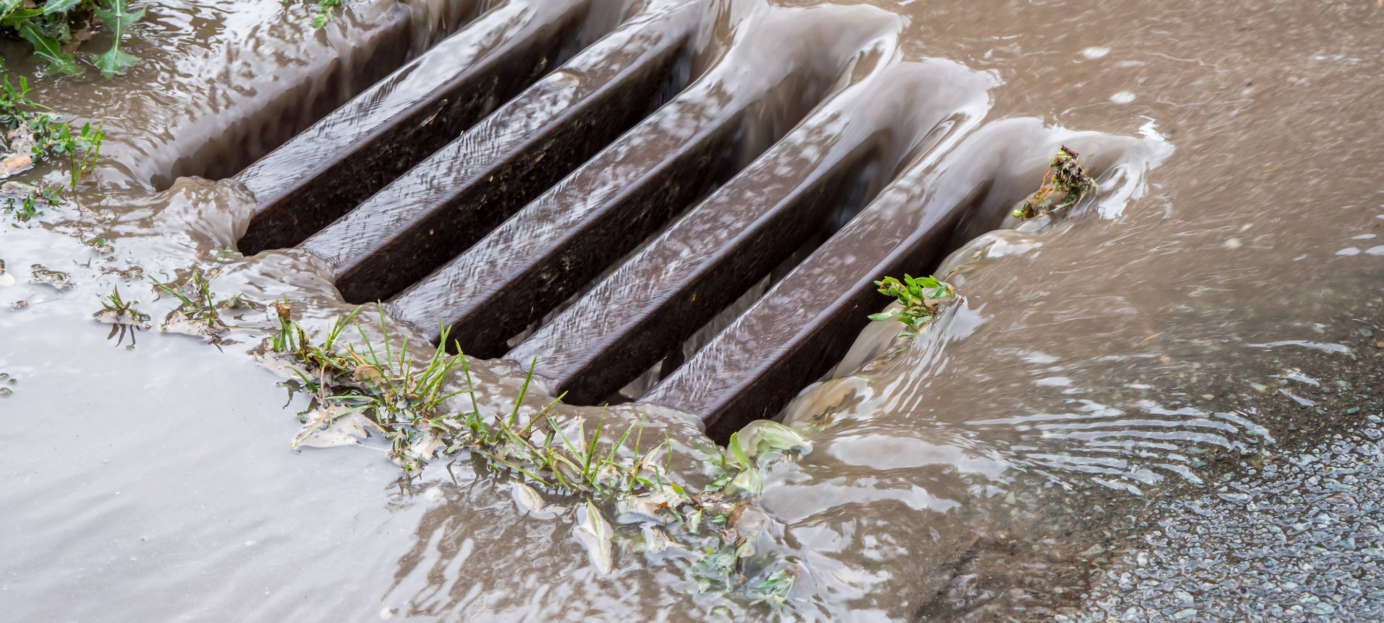 Stadtwerke Wesel setzen auf Mithilfe