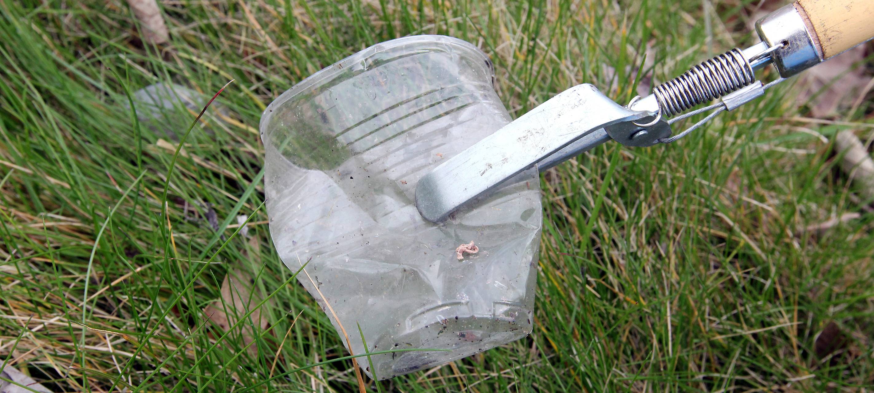 "Rhine Cleanup" ruft im Kreis Wesel zum Mitmachen auf