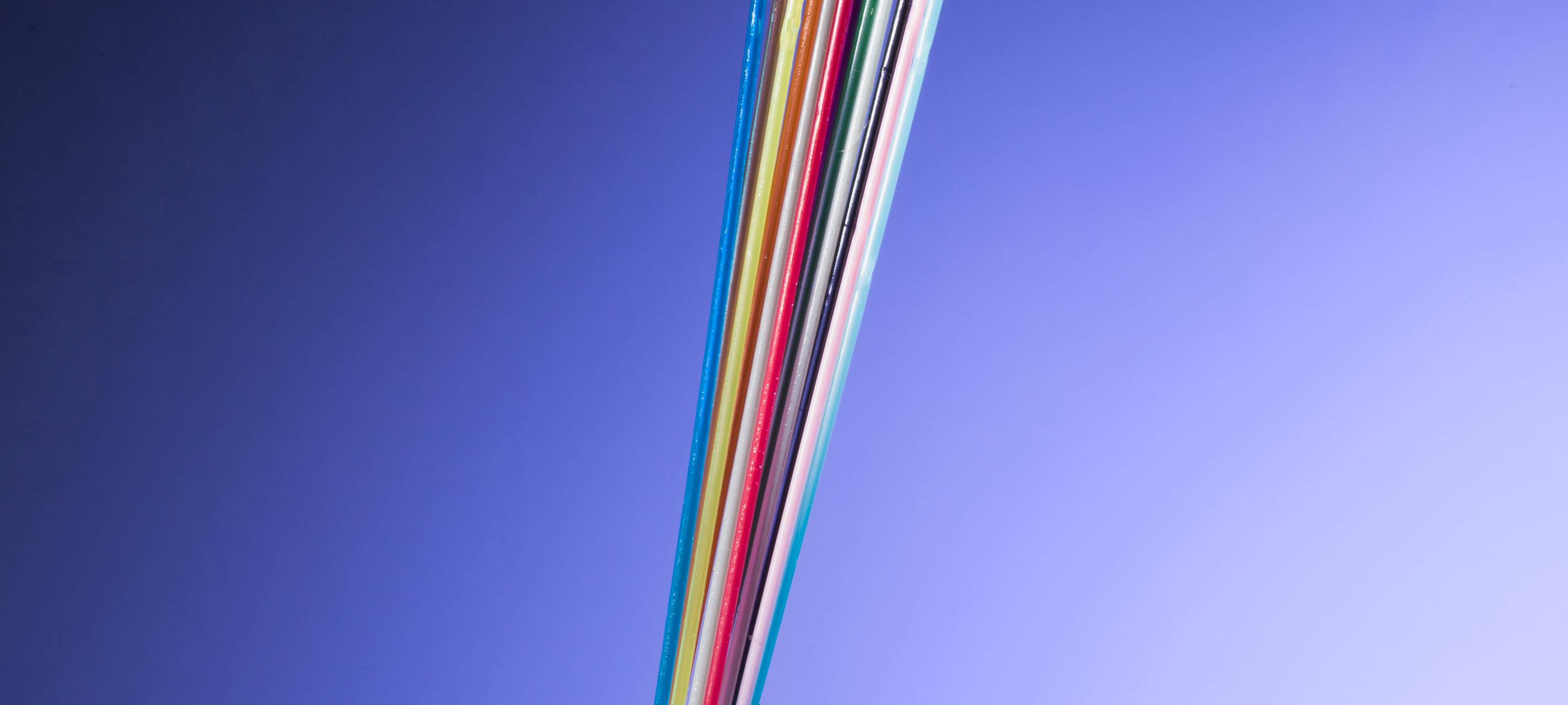 Digitale Teilhabe darf keine Frage des Wohnortes sein