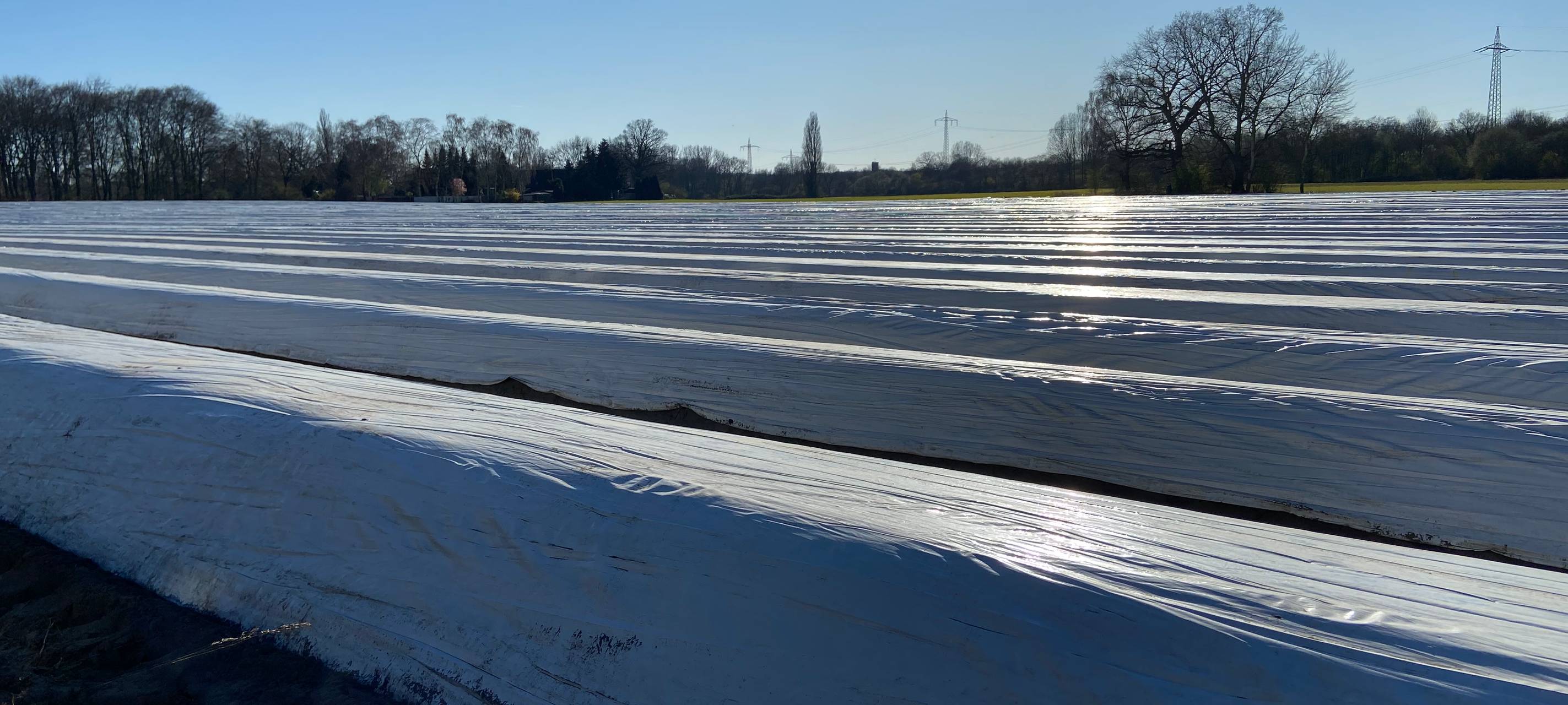 Spargelfeld Folientunnel Spargel Folie Bottrop Eigen Ruhrgebiet