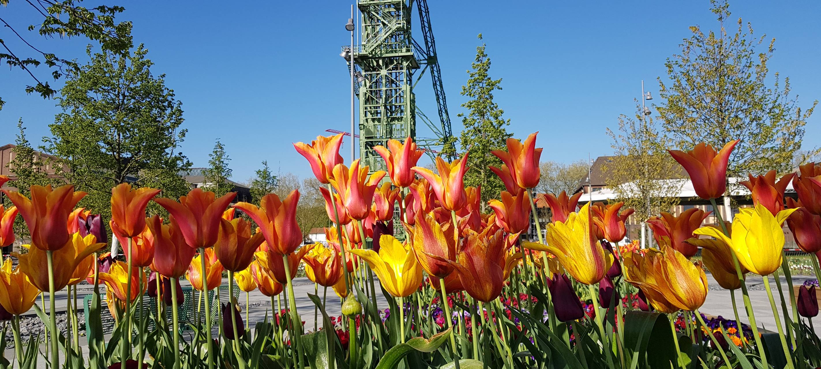 Landesgartenschau in Kamp-Lintfort eröffnet am Dienstag