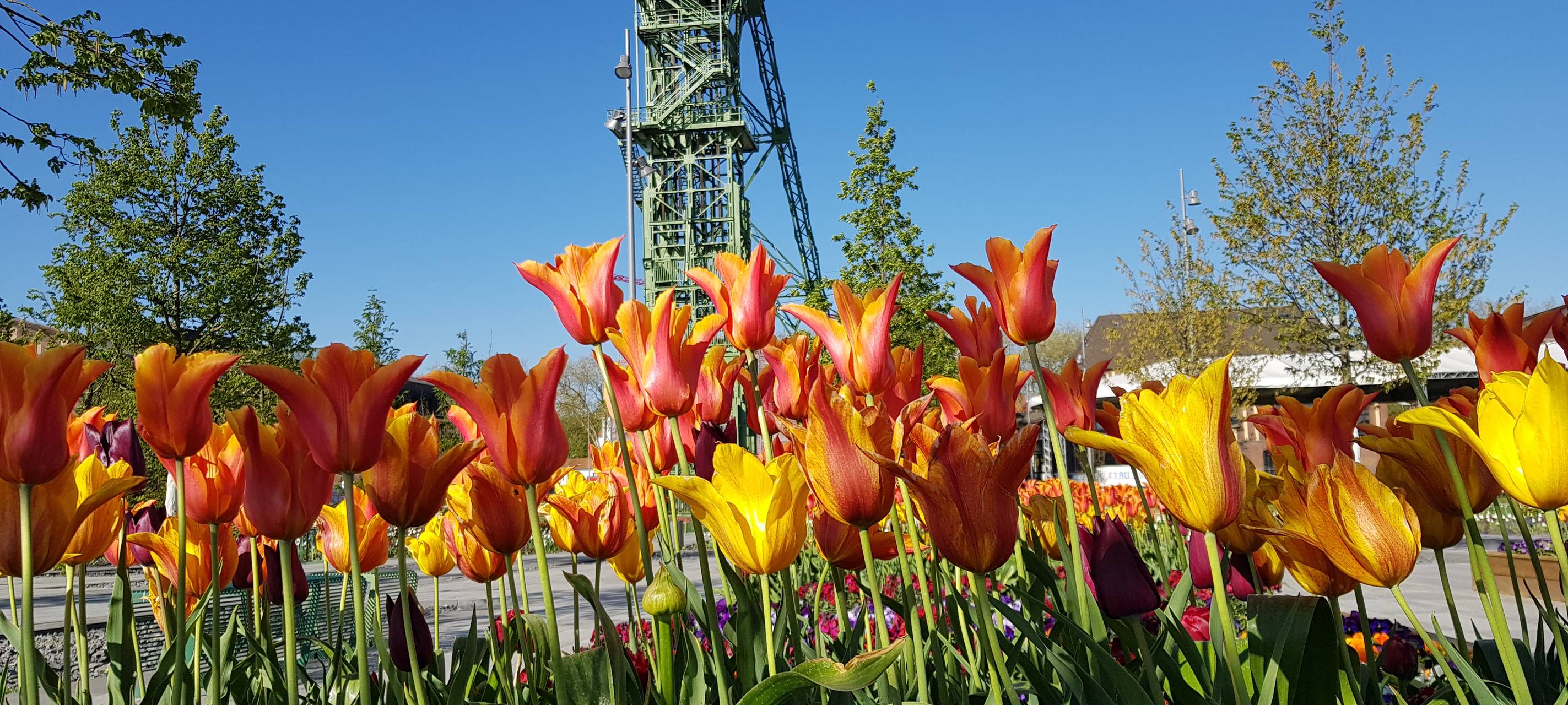 LAGA in Kamp-Lintfort könnte verlängert werden