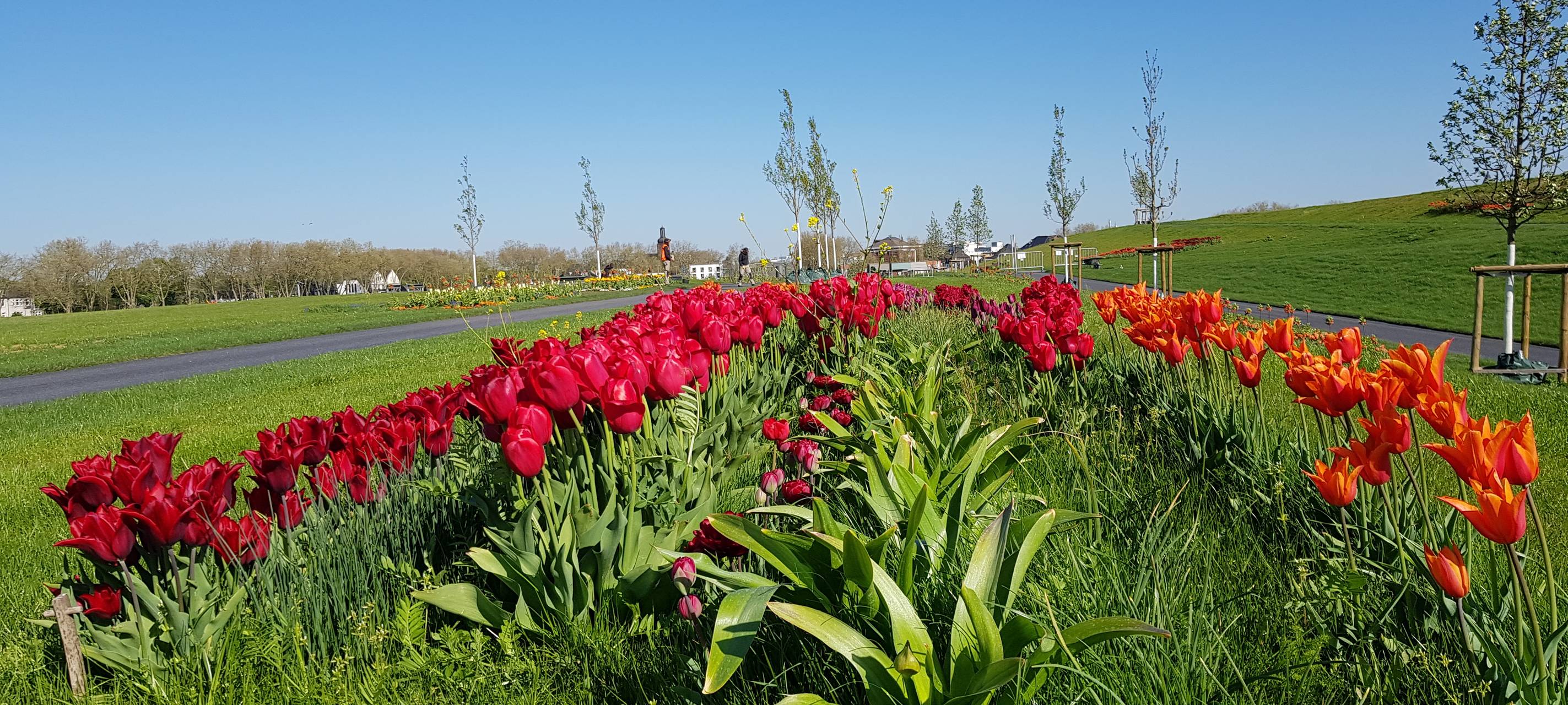 Landesgartenschau in Kamp-Lintfort eröffnet am Dienstag