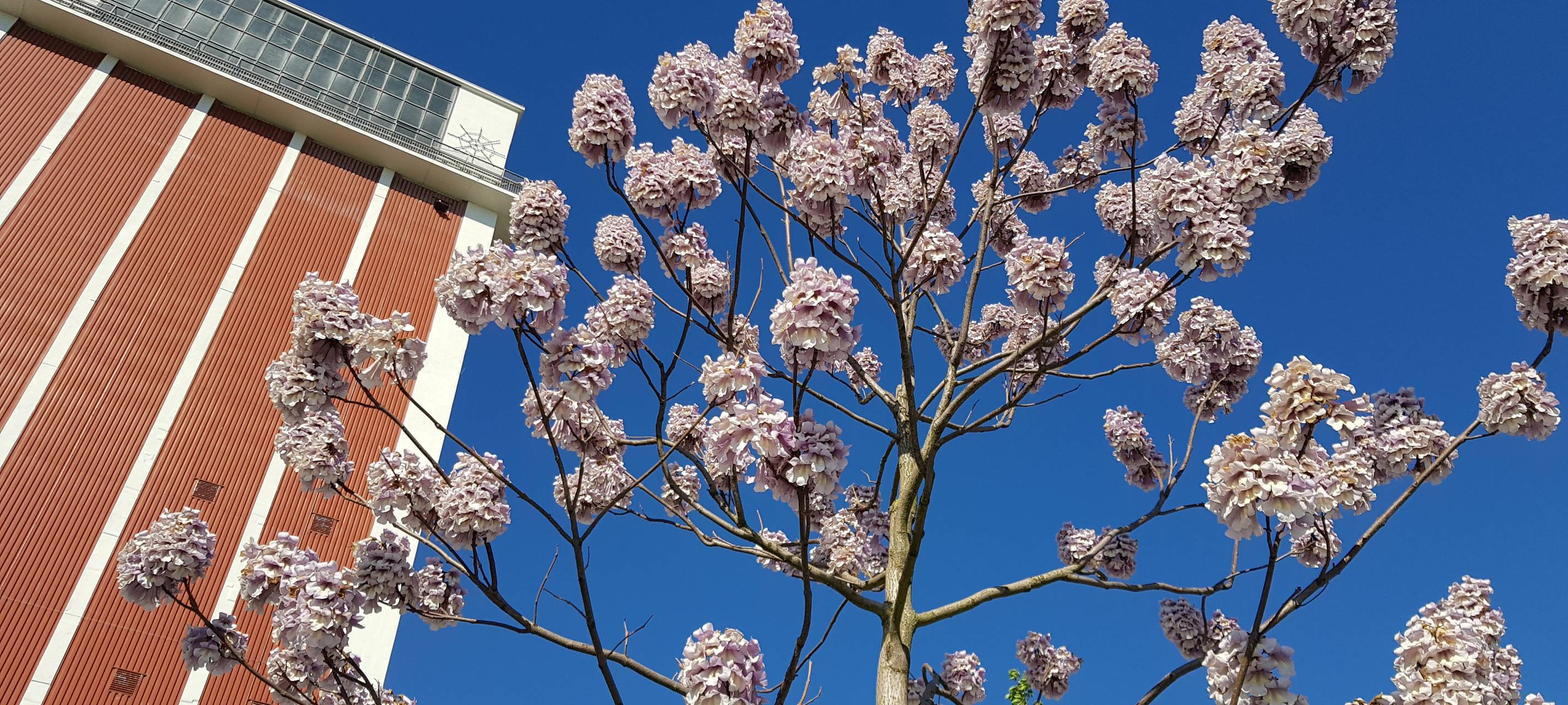 Die Kandidaten und Kandidatinnen für Kamp-Lintfort