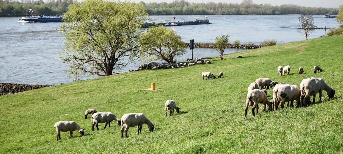 Die schönsten Wanderwege im Kreis Wesel