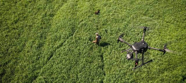 Drohne sucht in Feldern nach Wildtieren