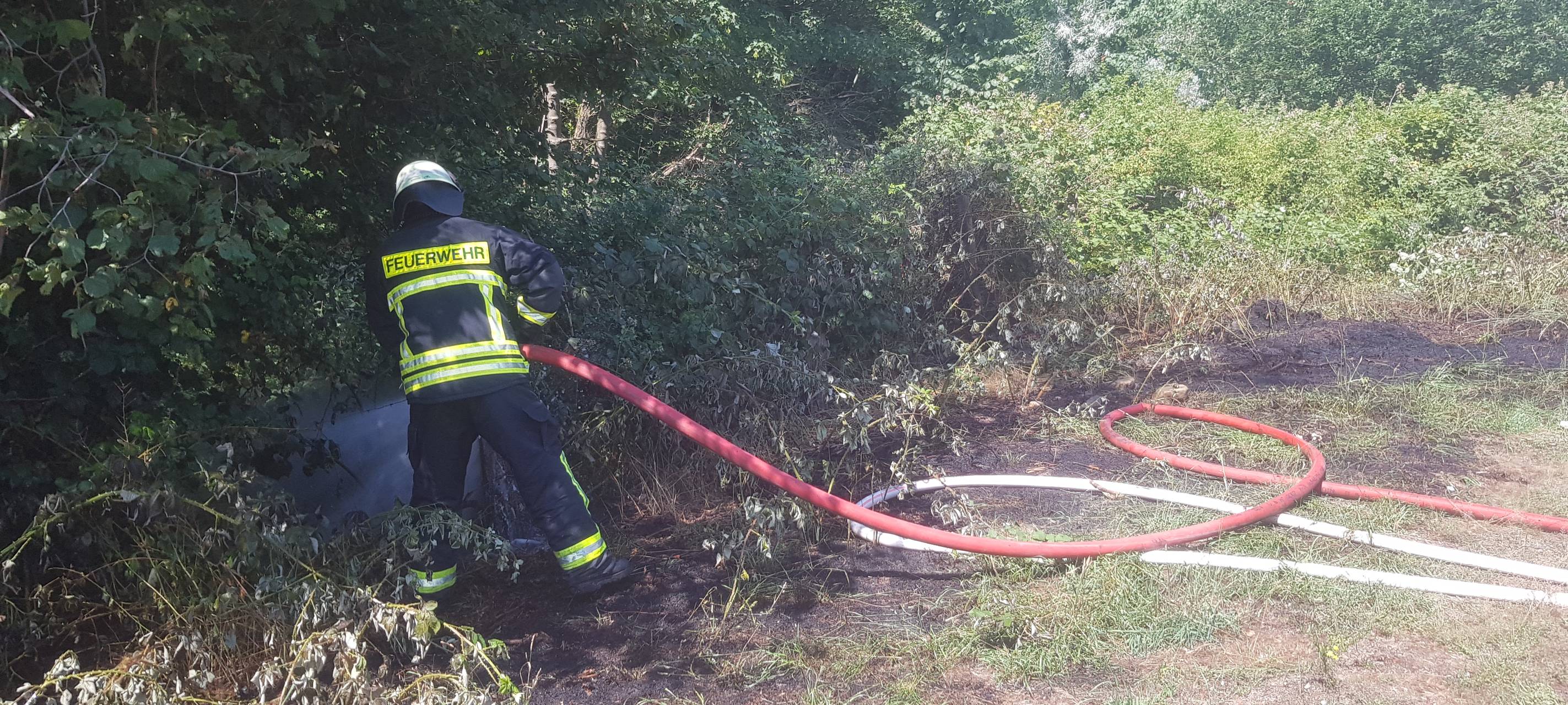 Waldbrandgefahr im Kreis Wesel steigt durch heiße Tage