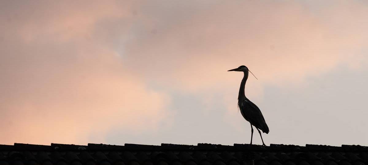 Einfamilienhäuser in Hamminkeln und Dinslaken am teuersten