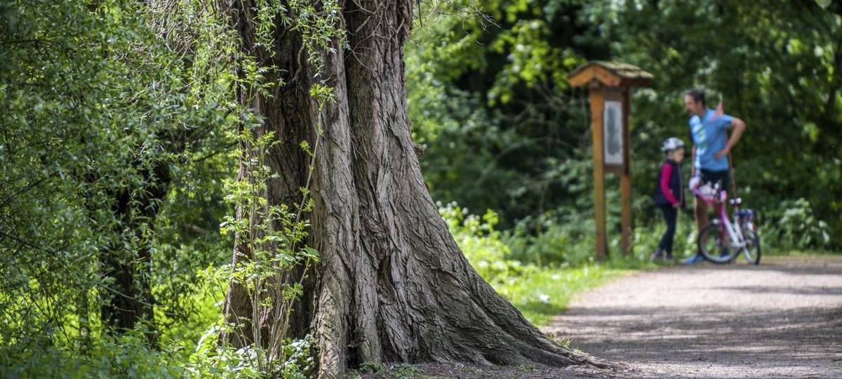Radio K.W. NiederrheinRun – der Online-Lauf für den Kreis Wesel