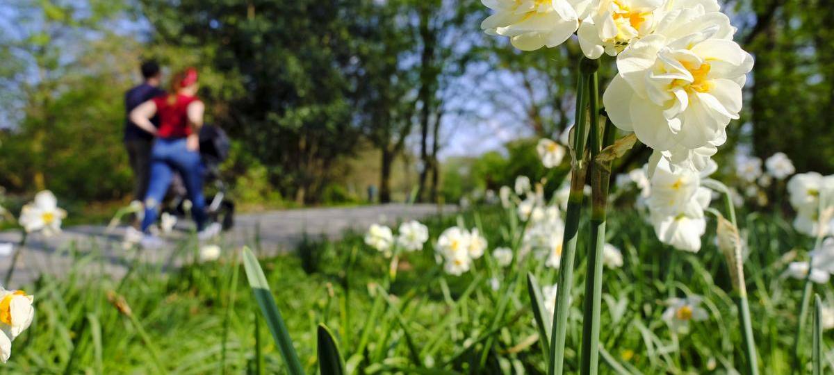 Mehr Grünanlagen in NRW - großer Zuwachs im Kreis Wesel