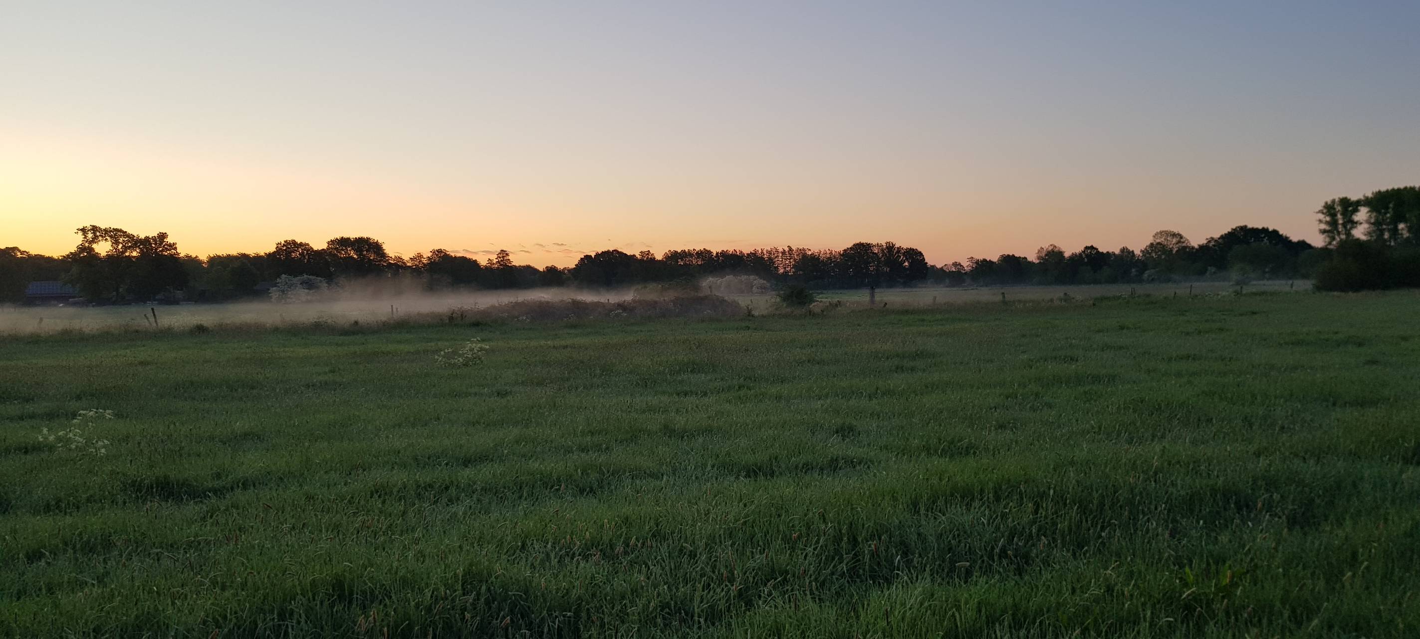 55 Kitze vor Mähtod gerettet - toller Erfolg in Hamminkeln