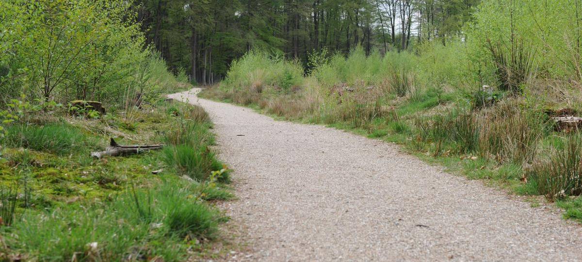 Toter ist vermisster Mann aus Dinslaken