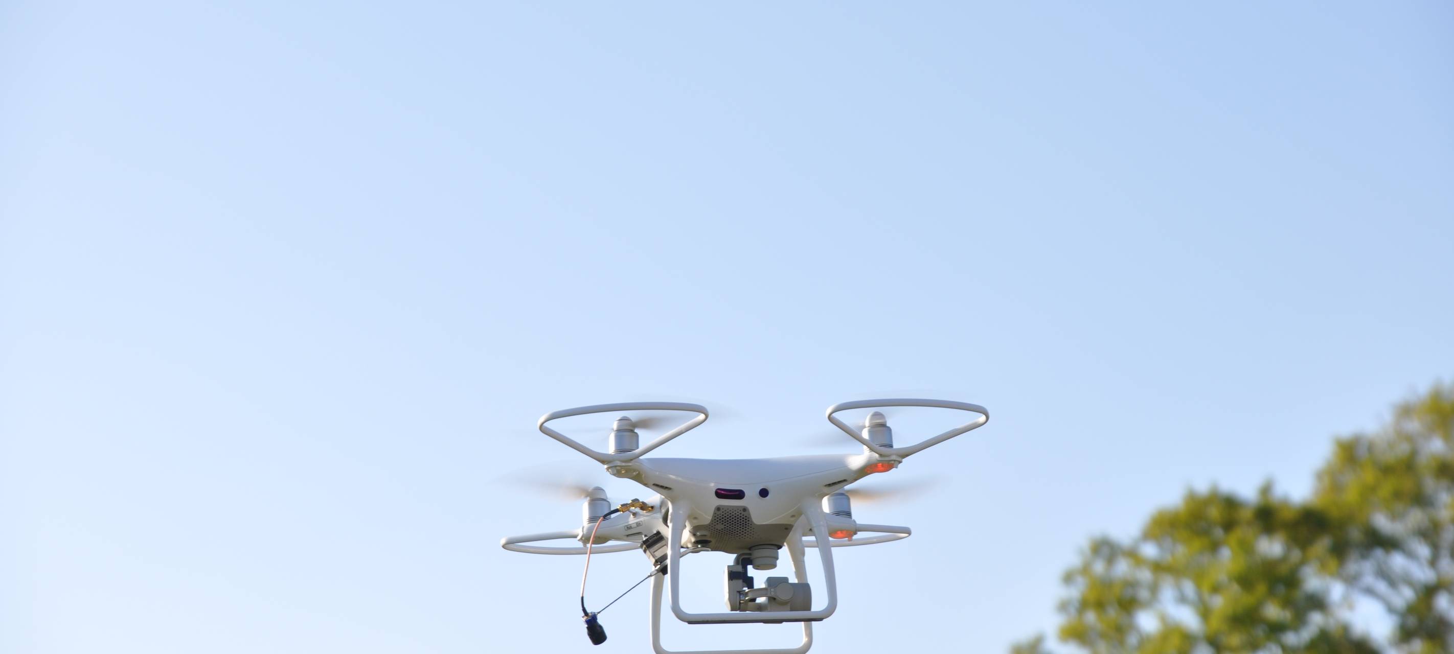 55 Kitze vor Mähtod gerettet - toller Erfolg in Hamminkeln