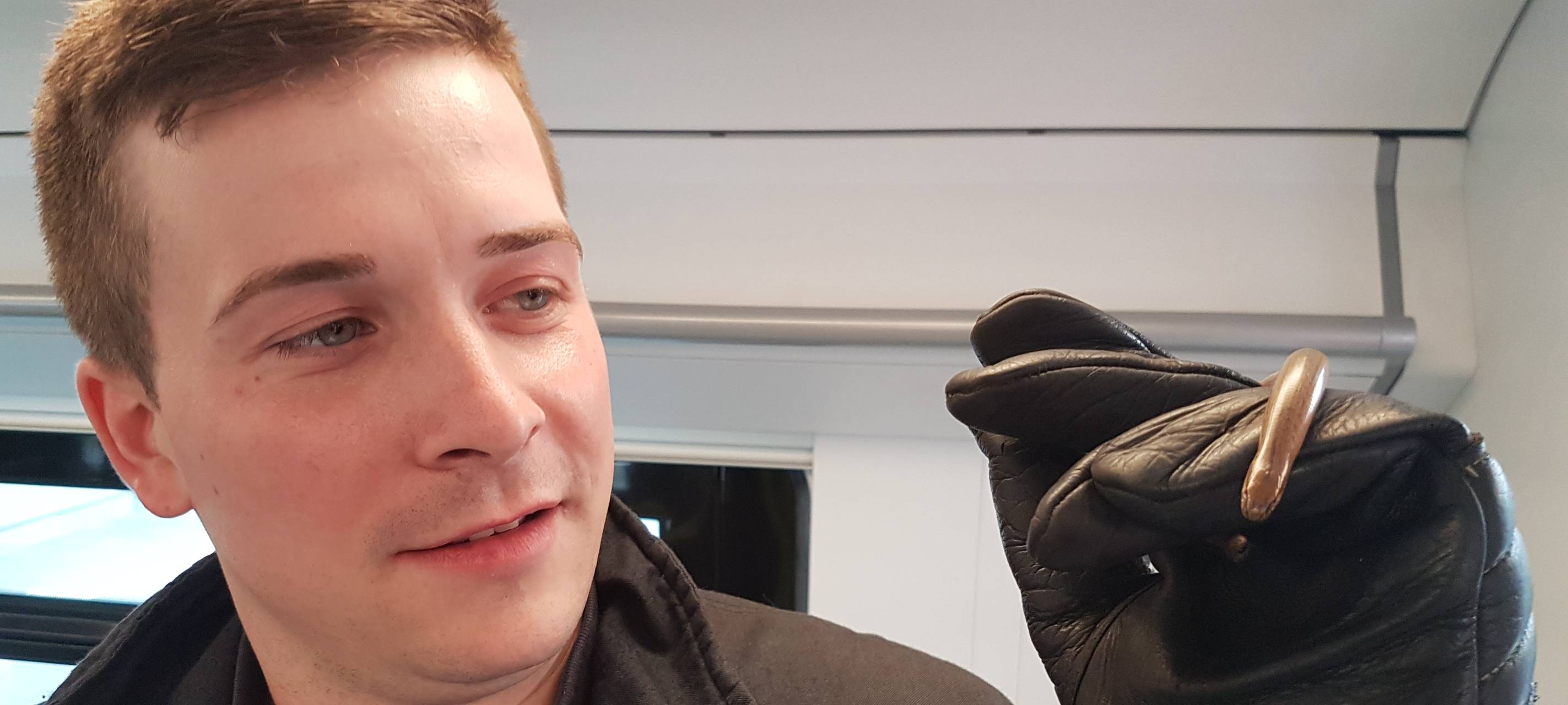 Blindschleiche löst Einsatz aus - Zug in Wesel evakuiert