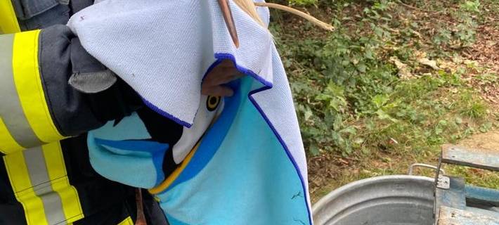 Feuerwehr rettet einen hilflosen Storch in Schermbeck