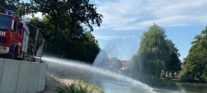 Feuerwehr rettet Fische im Gahlener Mühlenteich