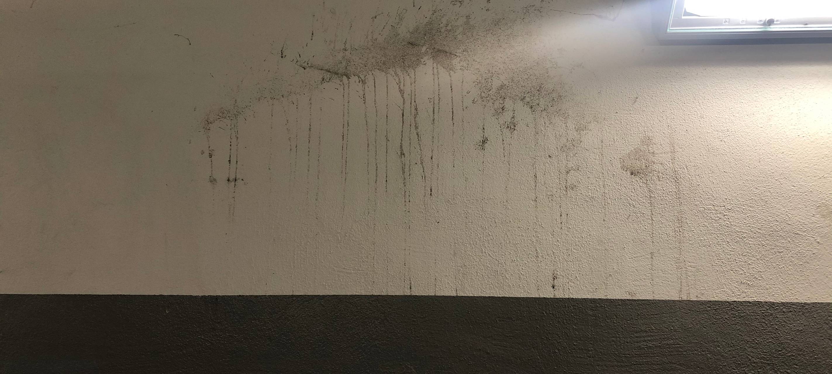 Tunnel am Weseler Bahnhof soll verschönert werden