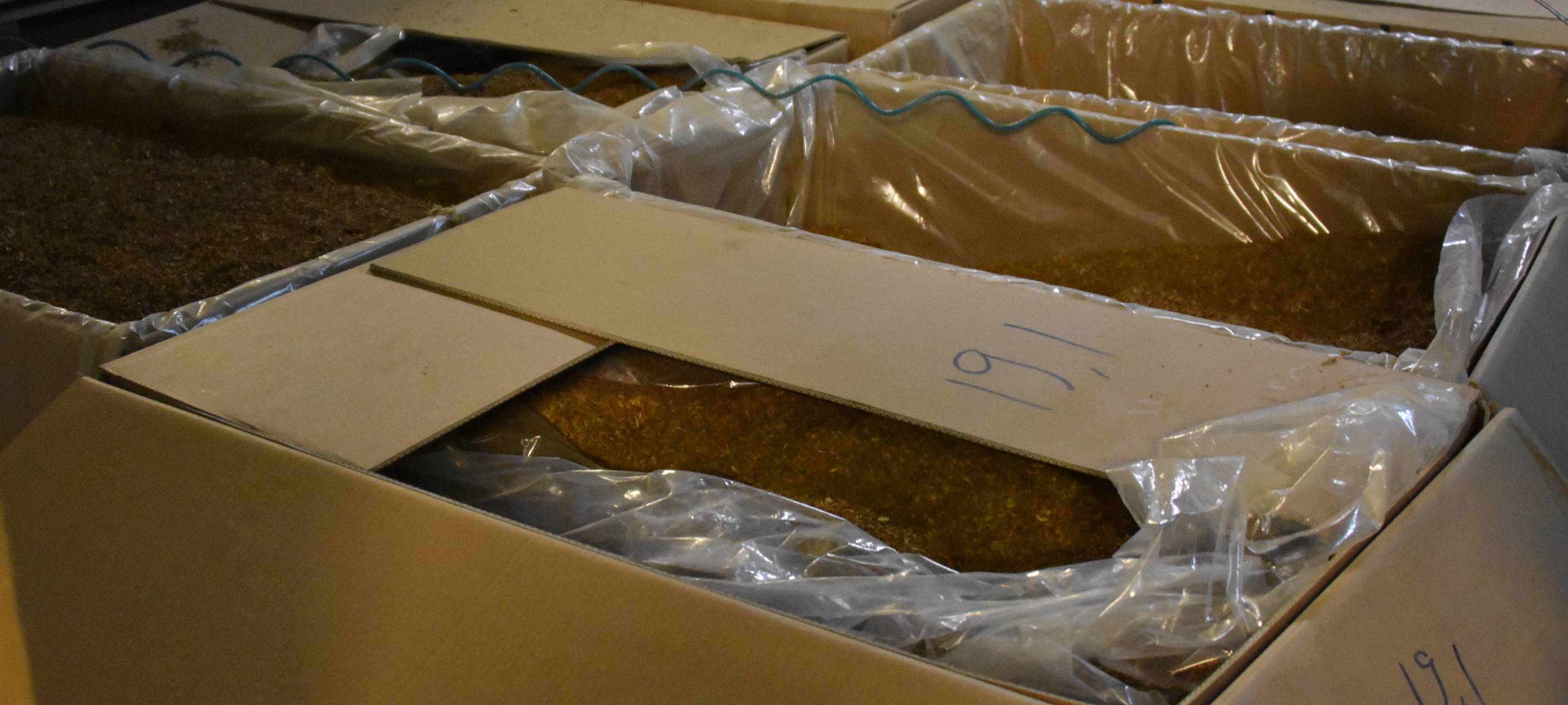 Illegale Zigarettenfabrik ausgehoben