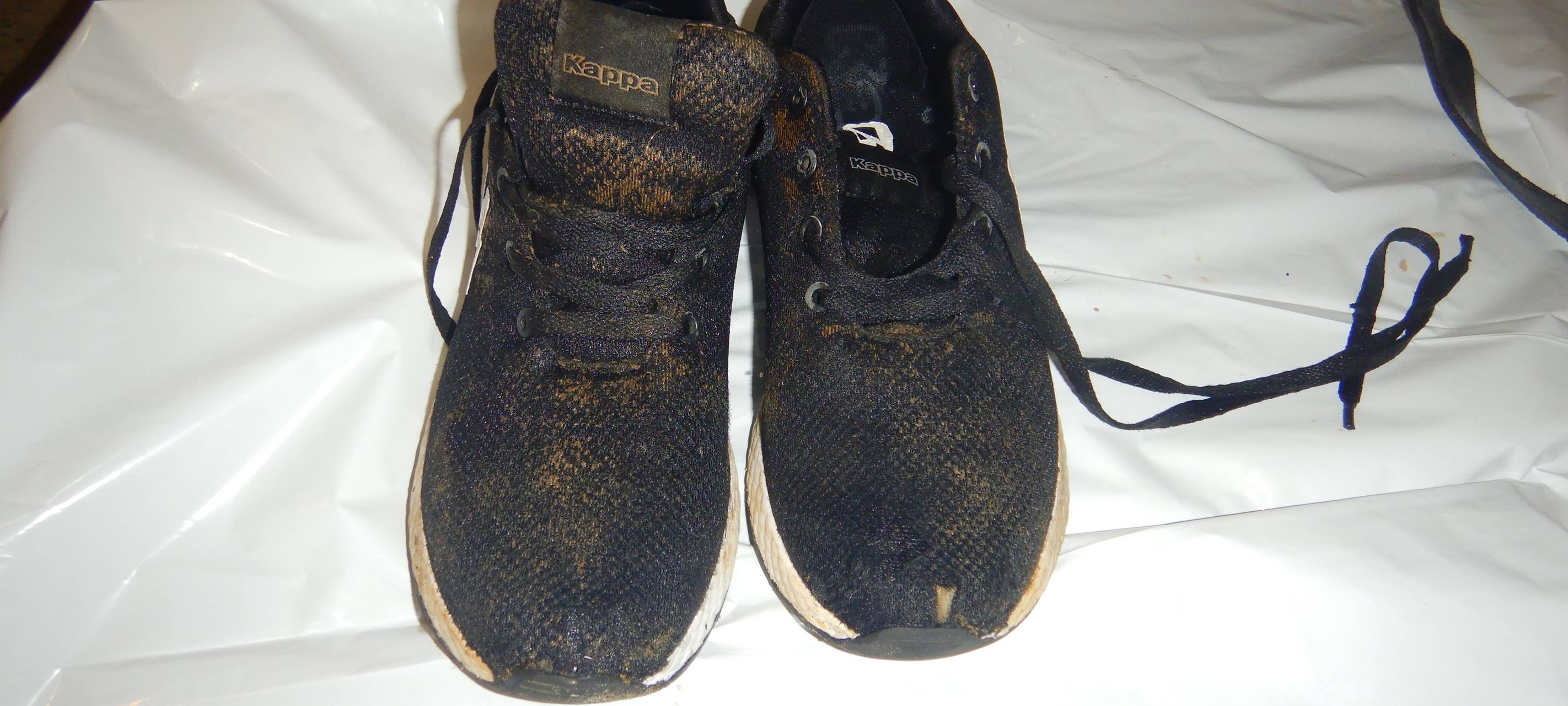 Polizei sucht Hinweise nach Wasserleichen-Fund in Walsum