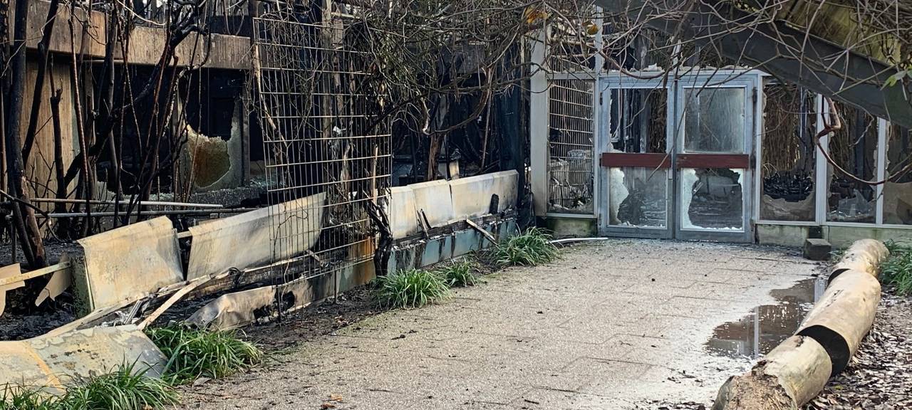 Nach Brand im Affenhaus: Beschuldigte akzeptieren Geldstrafe