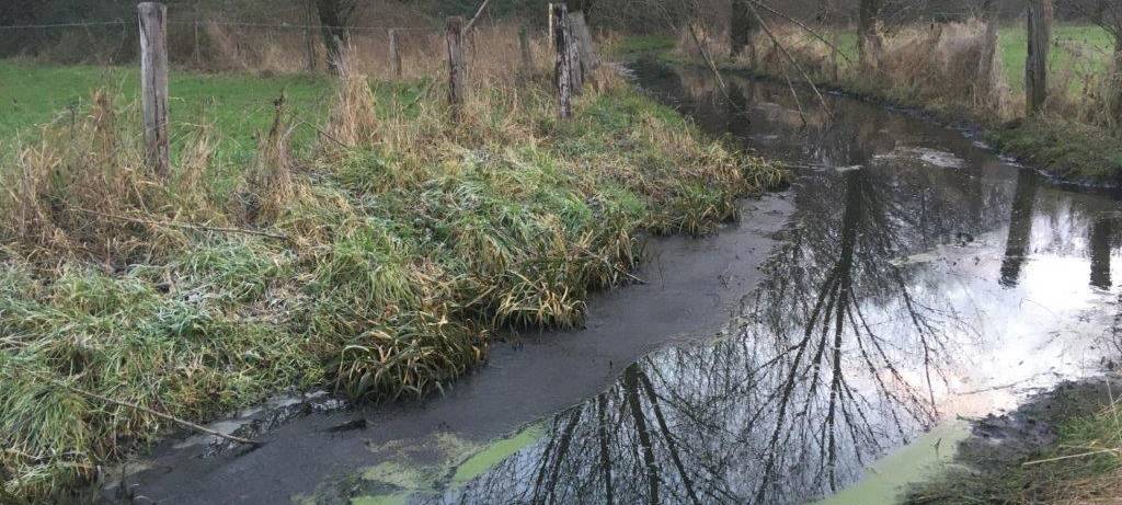 Landesumweltamt untersucht Proben aus dem Mommbach in Voerde