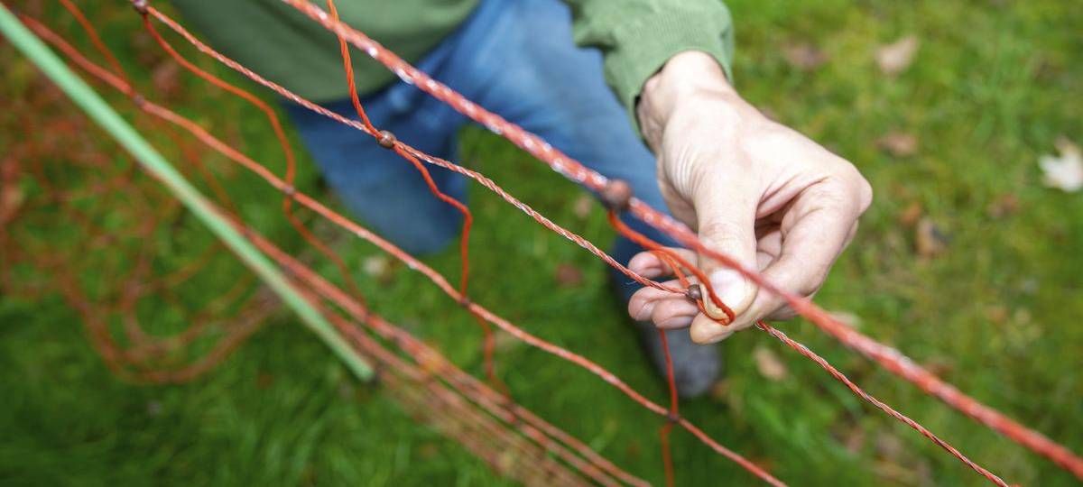 224.000 Euro für Herdenschutz im Schermbecker Wolfsgebiet