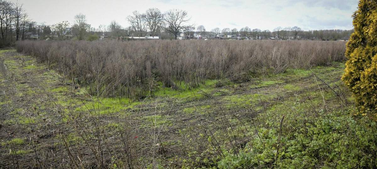 Neubaugebiet auf Neukircher Feld politisch gestoppt