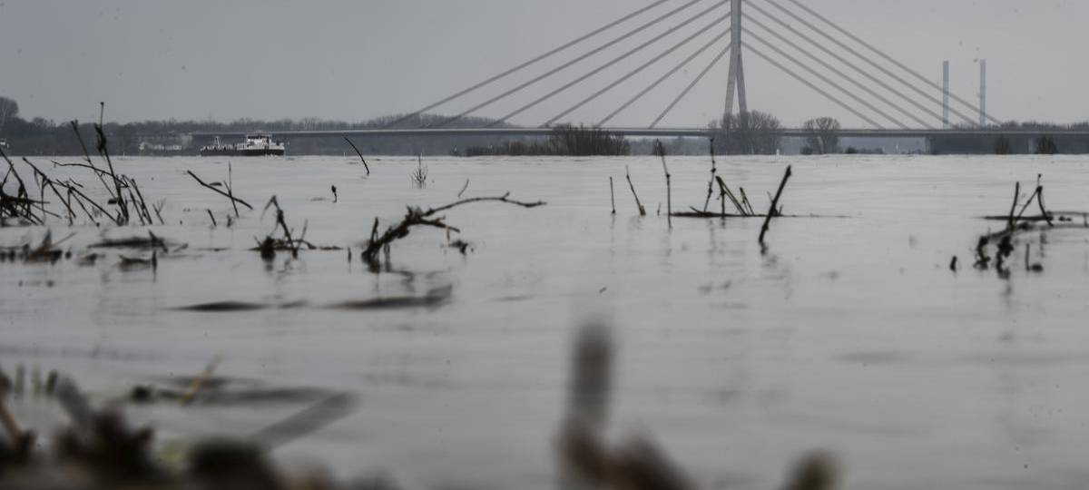 Rheinpegel steht in Wesel kurz vor erster Hochwassermarke